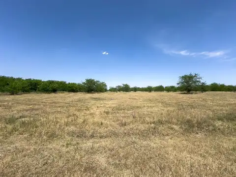 Terreno en Venta de 10000,0 m2