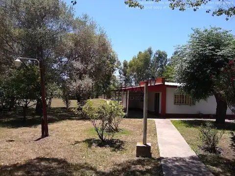 Patricio Leavy 751