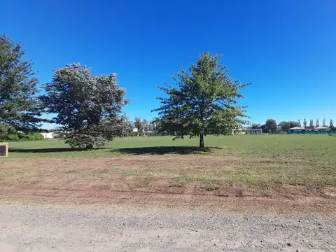 Terreno en Venta 43  mts Frente