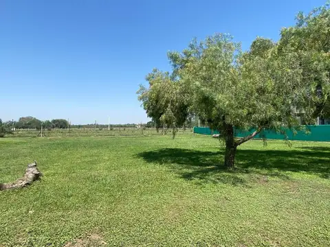 Terreno en Venta de 817,0 m2