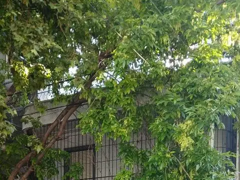 Depto Tipo Casa 3 ambientes con 2 baños