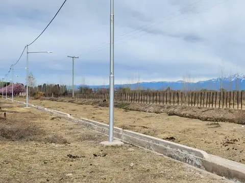 Callejón Bombal S/N Tunuyan