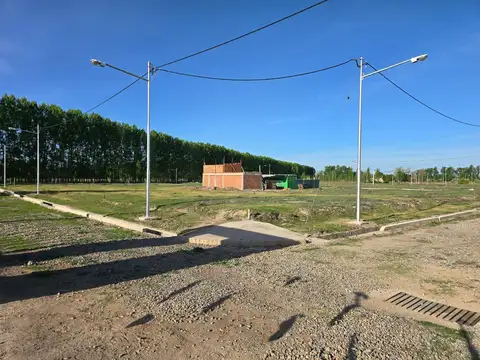 Callejón Bombal S/N Tunuyan