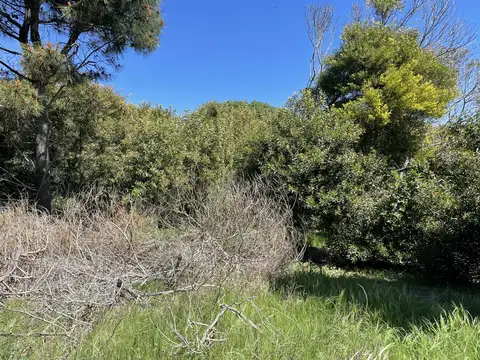 Terreno en Venta de 950,0 m2