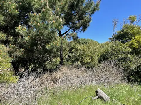 Terreno en Venta 47  mts Fondo