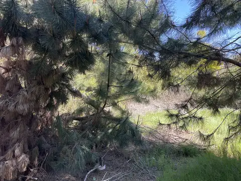 Terreno en Venta 20  mts Frente