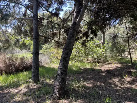 Terreno en Venta, FOS 0,4