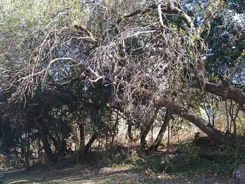 Terreno en venta en La Población Traslasierra Córdoba