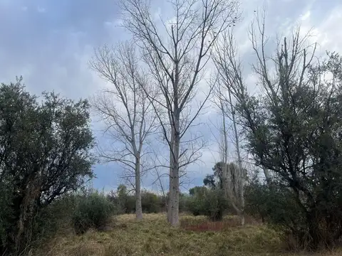 Terreno en Venta de 10000,0 m2
