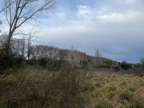 Terrada y Olavarría