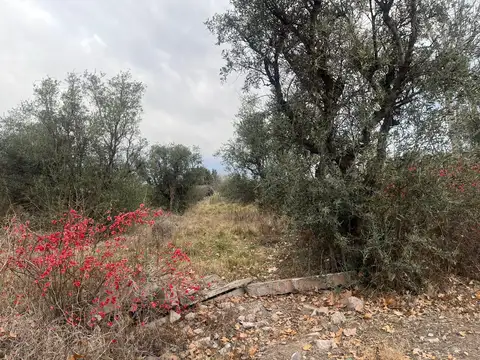 Terreno en Venta en Perdriel, USD 150.000