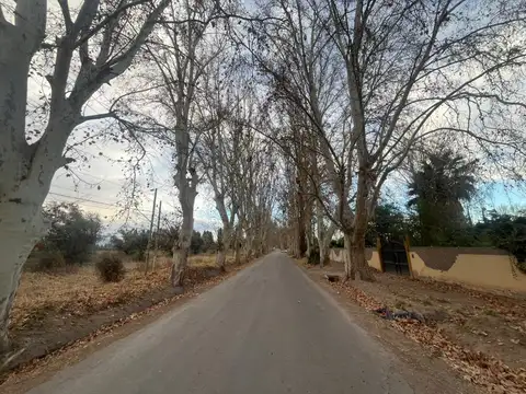 Terrada s/n