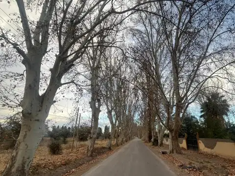 Terrada y Olavarría