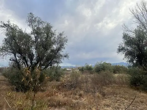 Terreno en Venta de 10000,0 m2
