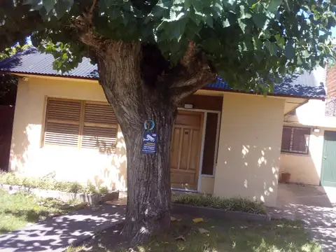 NUEVO VALOR   DAMICO 2200