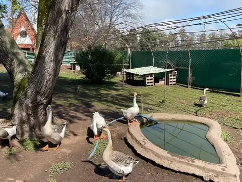 BARADERO RUTA 41 KLM 328