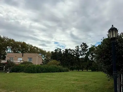Azahares del Paraná