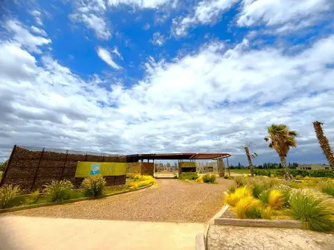 VENTA LOTE JUNIN MENDOZA
