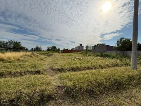 Pasaje Alelies