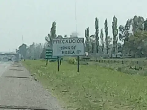 CAMPO EN CAÑUELAS, APTO AGRICULTURA Y GANADERIA