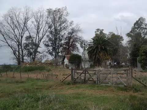 Ruta 3