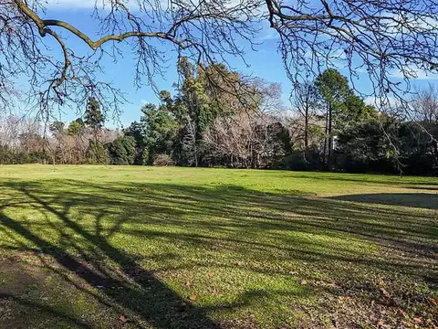Excelente terreno Arbolado en Venta.