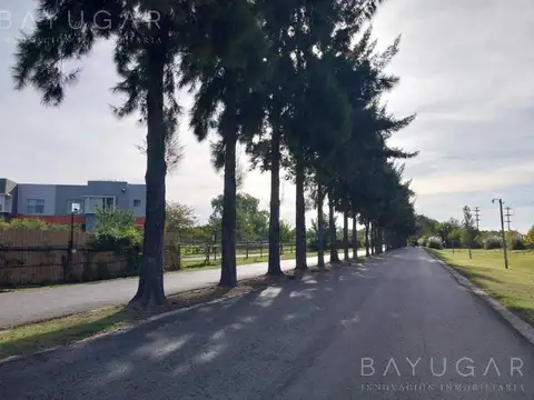 Terreno en Venta de 330,0 m2