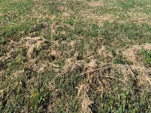 Terreno en Venta de 593,0 m2