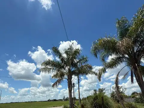 Terreno en Venta de 593,0 m2