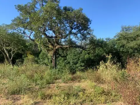 San Lorenzo Zona Puente De Palo