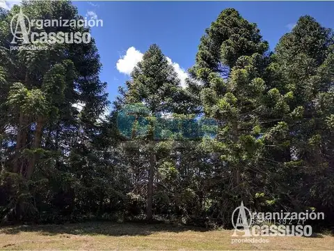 Terreno en Venta de 45000,0 m2