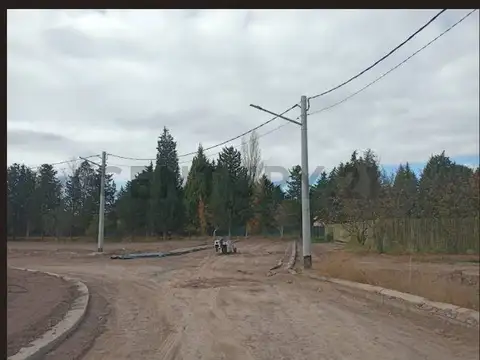 Manuel Cruz Videla 2000, Piso 0