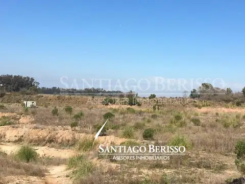 Campana
