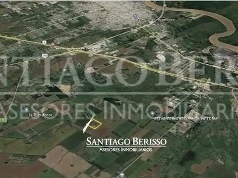 Campana
