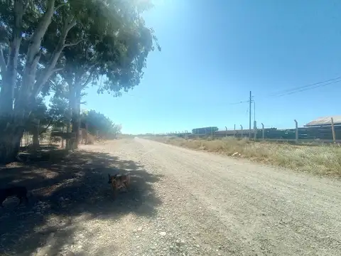Galpon en Alquiler en Senillosa, $ 2.000.000