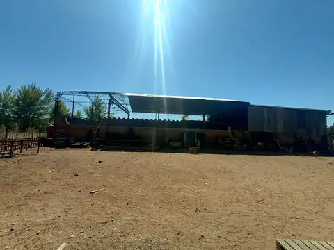 Galpón ubicado en la ciudade de Senillosa, provincia de Neuquén.