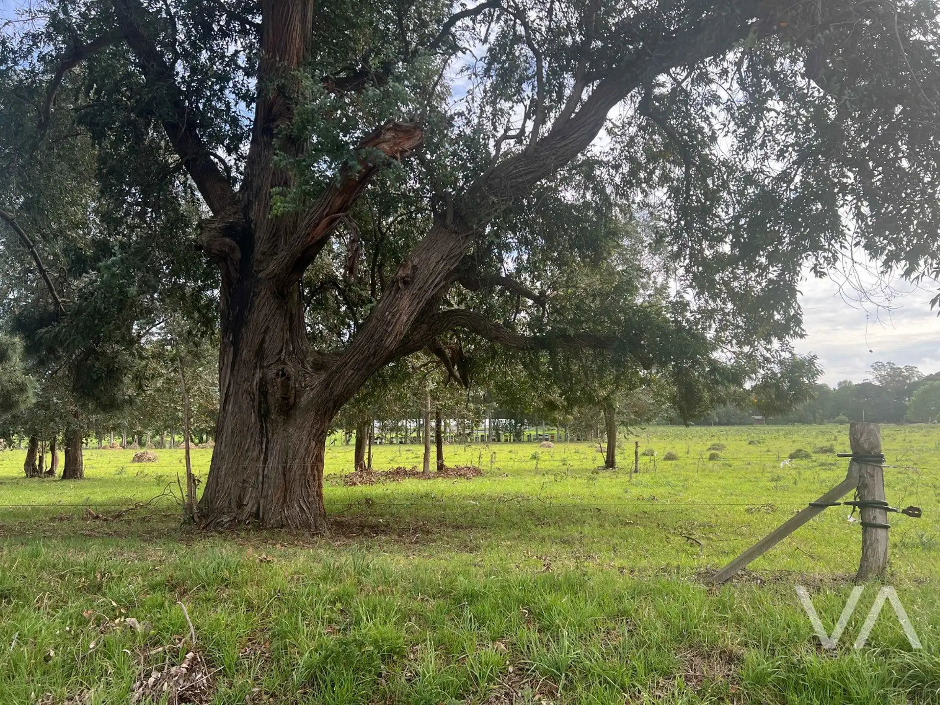 Lotes en venta de 57170m² en Lomas de San Patricio