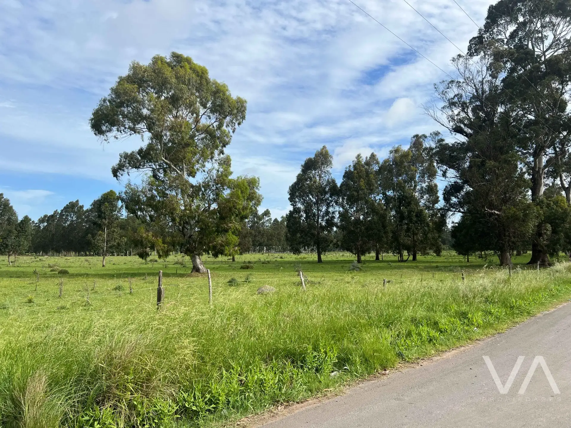 Lotes en venta de 57170m² en Lomas de San Patricio