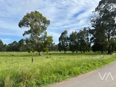 Lotes con gran potencial. Proximos a barrios privados.