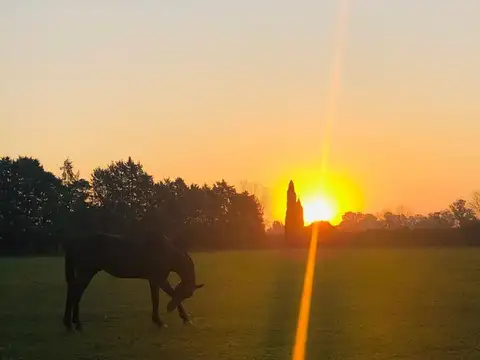 VENTA CAMPO 10HA C 2 CASAS GENERAL RODRIGUEZ POLO