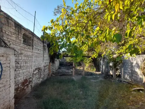 CORTINEZ, JOSE PEDRO OESTE 900