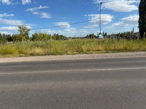 Lote en venta en General  Roca  sobre Calle Alsina