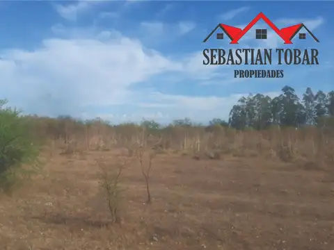 VENDO LOTES GRANDES EN ARROYO VEGA  A METROS DEL RÍO!!! 