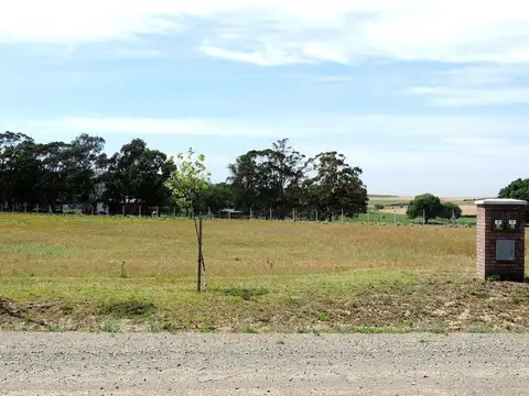 Club de Campo Las Verbenas