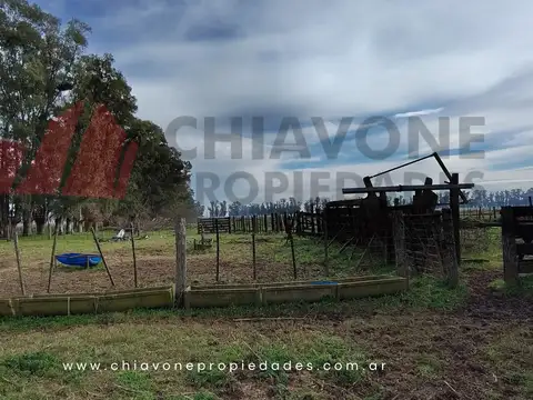 Campo en Venta Ganadero