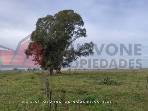 Cuartel Vii, Ruta 40 Km 100