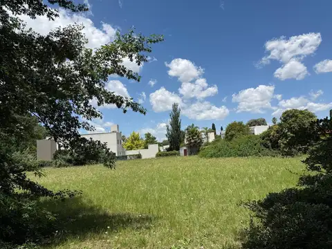 Terreno en Venta 44  mts Fondo