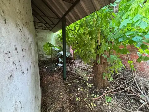 Diagonal A. Williams 1500