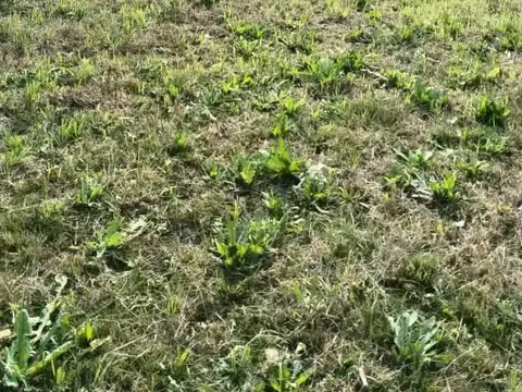 Terreno en Venta 10  mts Frente