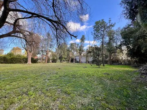 Juan Bautista Alberdi 600